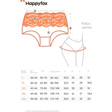 Happyfox Pamuklu Kadın Külot Yüksek Bel Dantelli 3'lü Set Paket Slip Likralı Büyük Beden Gri-Bordo-Lacivert