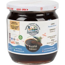 Kozalak Pekmezi 500 Gr