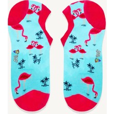Limmon Store Flamingo Aşk Sneaker Çorap