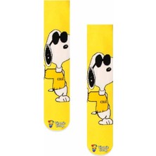 Limmon Store Snoopy Renkli Çorap