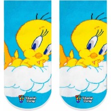 Limmon Store Twetty Renkli Çocuk Çorap