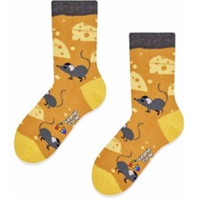 Limmon Store Fare Renkli Çocuk Çorap