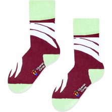 Limmon Store Pençe Renkli Çocuk Çorap