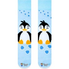 Limmon Store Penguen Adım Renkli Çorap