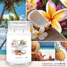 Yankee Candle 1629967E Büyük Mum Coconut Beach