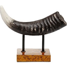 Kokosh Home Poly Dekoratif Boynuz 27X23CM