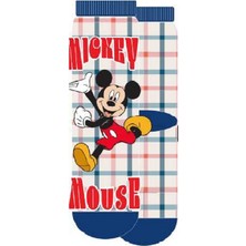 Mıckey Mouse 21556 Lisanslı 3'lü Çocuk Soket Çorap