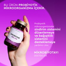 Next-Microbiome Probiome-Relax Probiyotik ve Prebiyotik İçeren Takviye Edici Gıda (60 Kapsül)