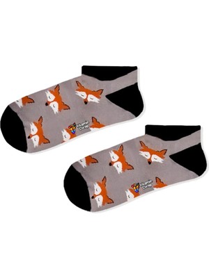 Limmon Store Tilki Gri Patik Renkli Çorap