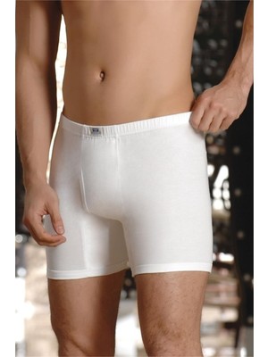 Nbb 721 Erkek Arjantin Boxer