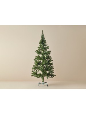 English Home Christmas Tree Yılbaşı Ağacı Yeşil