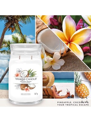 Yankee Candle 1629967E Büyük Mum Coconut Beach