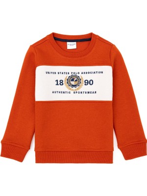 U.S. Polo Assn.  Erkek Kiremit Sweatshırt Dutsekıds