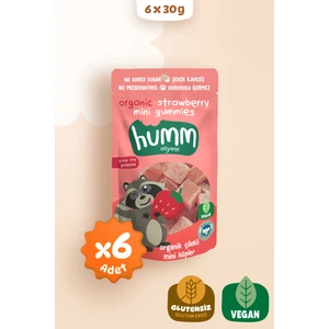 Humm Organic - Organik Glutensiz Vegan Çilekli Mini Küpler Atıştırmalık Paketi - 6 Adet