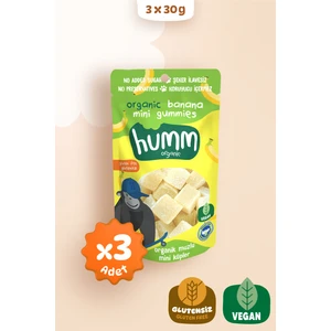 Humm Organic Organik Glutensiz Vegan Muzlu Mini Küpler Atıştırmalık Paketi - 3 Adet