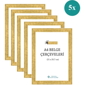 A4 Çerçeve   22mm 5'Li Paket (Renk:Yaldız)