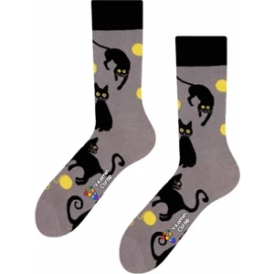 Limmon Store Kedi Yumak Sarı Renkli Çorap