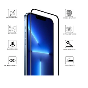 iPhone 12 Pro Max Anti-Static Ekran Koruyucu
