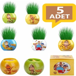 Çim Adam 5 Adet Karışık Model Kukuli Çim Adam