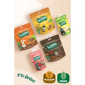 Organik Glutensiz Vegan Kek & Mini Küp Atıştımalık Paketi - 5 Adet (5 Çeşit)