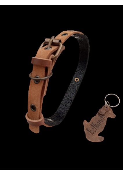 Köpek boyun tasması hakiki deri siyah vizon kalınlık:3mm genişlik:1,5cm boyun ölçüsü:XXS.12-20cm ayarlamalı dog collar T1-7 modelleri