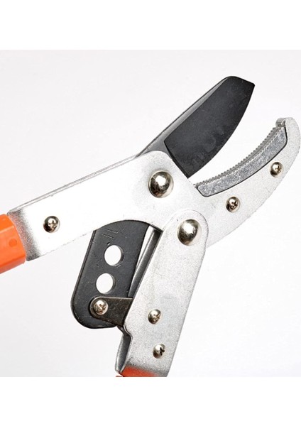Tools Çift Kollu Uzatmalı Dal Budama Makası 5012