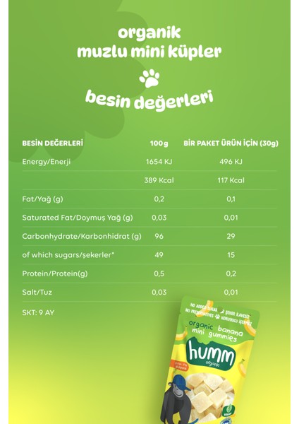 Humm Organic - Organik Glutensiz Vegan Muzlu Mini Küpler Atıştırmalık Paketi - 6 Adet