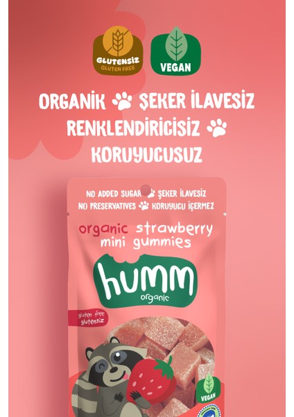 Humm Organic - Organik Glutensiz Vegan Çilekli Mini Küpler Atıştırmalık Paketi - 6 Adet