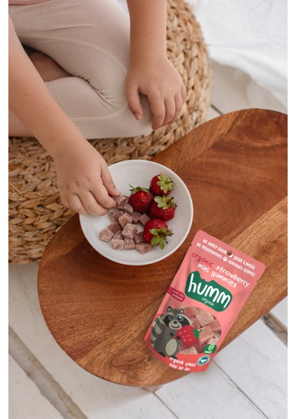 Humm Organic - Organik Glutensiz Vegan Çilekli Mini Küpler Atıştırmalık Paketi - 6 Adet