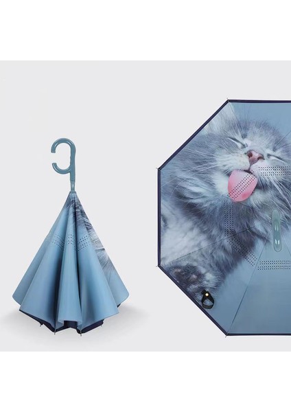 Vinil Çift Katmanlı Şemsiye (Yurt Dışından)