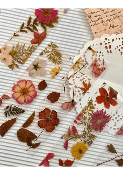 5'li Şeffaf Çiçek Seyahat Serisi Retro Kırmızı Renk Kitap Ayracı Yeşil Kutu Kitap Ayracı fırsatları