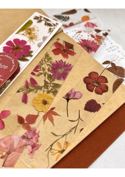 5'li Şeffaf Çiçek Seyahat Serisi Retro Kırmızı Renk Kitap Ayracı Yeşil Kutu Kitap Ayracı indirimleri