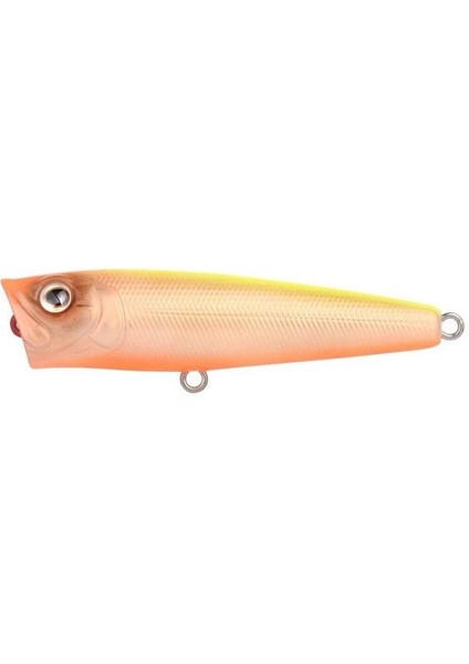 Ikiru Pop 65 Fl N Chart Back Maket Yem 1/1