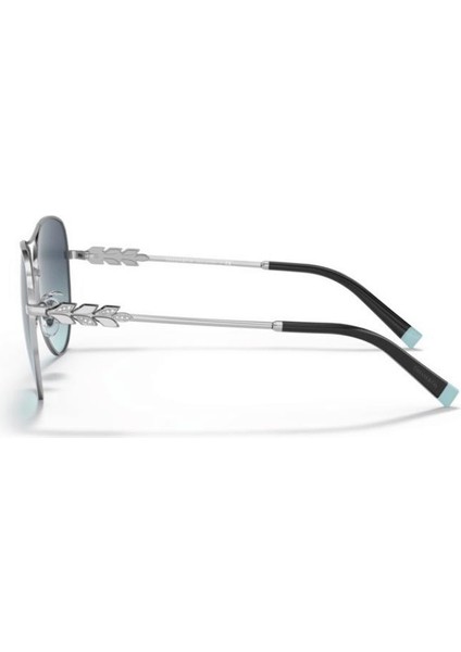 Tiffany&Co 0TF3083B 60019S59 Kadın Güneş Gözlüğü fiyatları