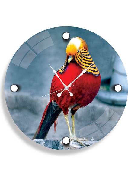 Cennet Kuşu Cam Saat - 40 cm