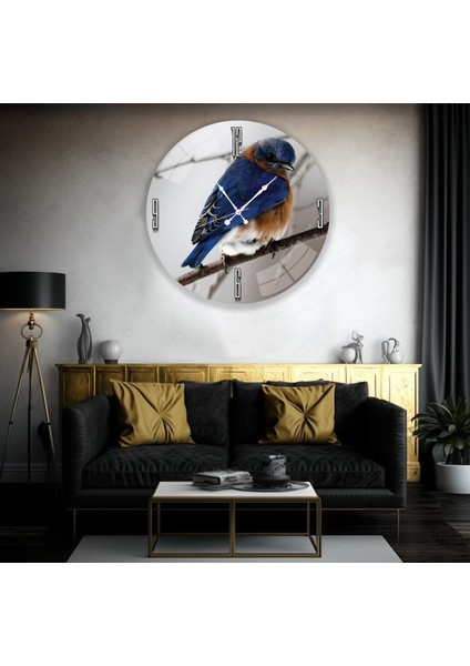 Renkli Kuş Cam Saat - 60 cm