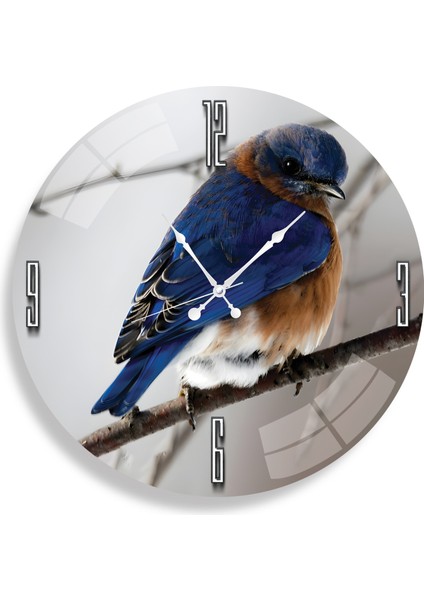 Renkli Kuş Cam Saat - 60 cm fiyatları