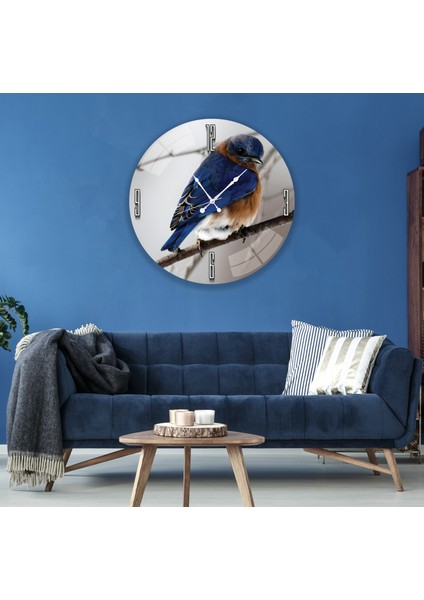 Renkli Kuş Cam Saat - 60 cm modelleri