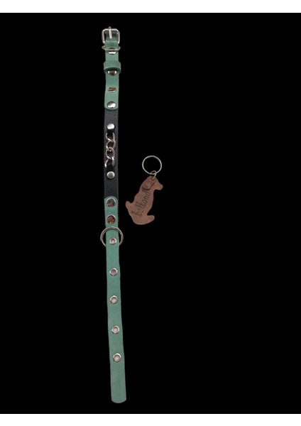 Köpek boyun tasması hakiki deri siyah turkuaz kalınlık:3mm genişlik:1,5cm boyun ölçüsü:XS.S.20-35cm ayarlamalı dog collar T1-8 fırsatları