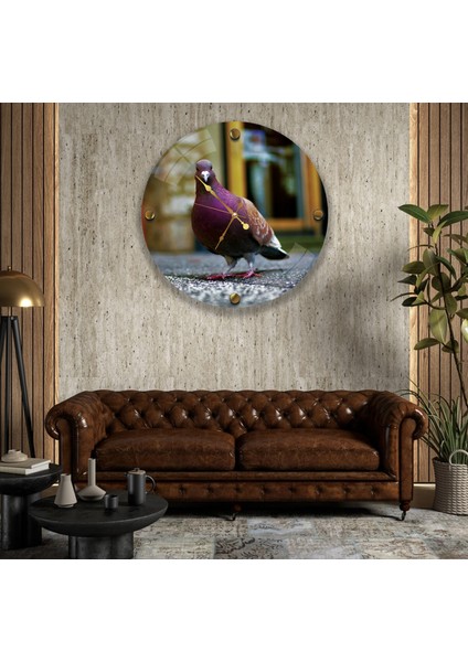 Güvercin Cam Saat - 40 cm modelleri