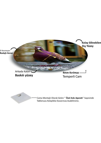 Güvercin Cam Saat - 40 cm fırsatları