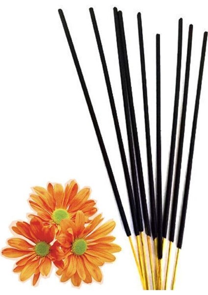 Tütsü Fragrance Mistik Kokulu 20'li