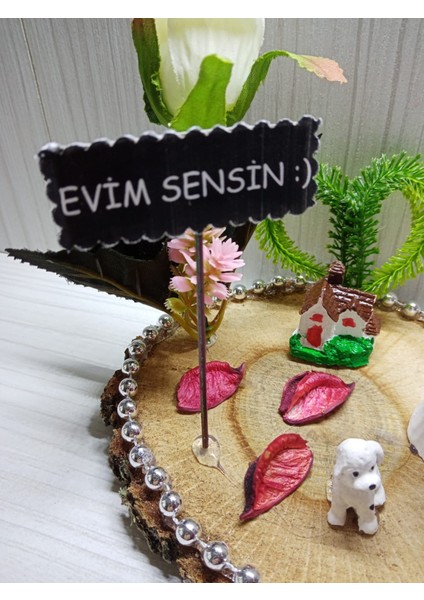 Evlilik Yıl Dönümü Hediyesi Sevgiliye Hediye Sarılan Çift Temalı Kütük Teraryum modelleri