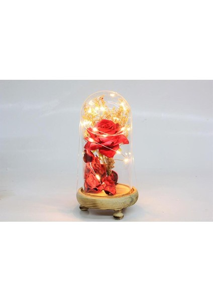 Çınarcık Ta Fanus Gül 19/10CM LED Işıklı Cam Fanuslu Hediyelik