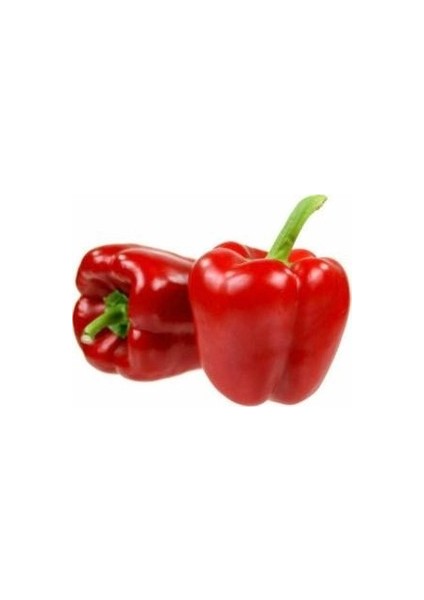 200 Adet Tohum Nadir Kırmızı Dolmalık Biber Tohumu Saksı Toprak