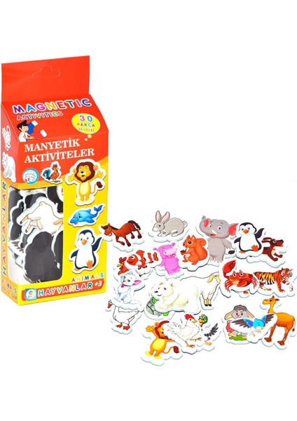 Magnet 5 Li Set - Alfabe-Hayvanlar-Meyve Sebze-Taşıtlar-Sayılar