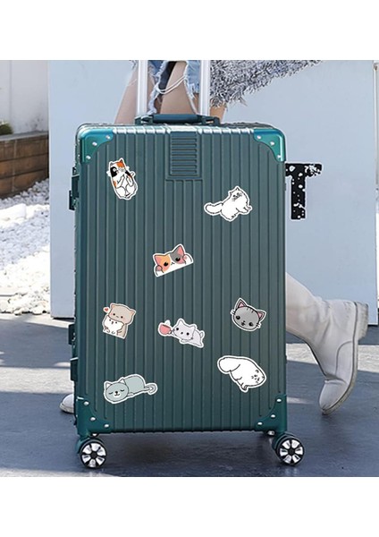 25'li Su Geçirmez Opak Sticker Seri : 3 modelleri