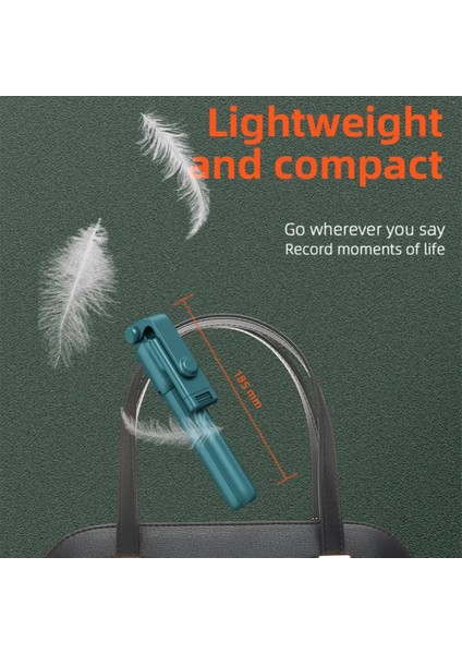 R1S Siyah LED Siyah Bluetooth Selfie Çubuğu R1/R1S Yatay ve Dikey Çekim Cep Telefonu Entegre Canlı Yayın Braketi Selfie Çubuğu (Yurt Dışından) modelleri