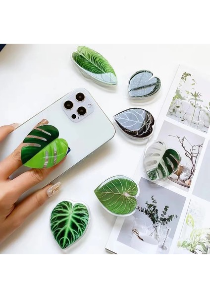 Yeşil Kore Tarzı Telefon Tutucu Kavrama Griptok Hava Kesesi Dama Tahtası Bitki Modelleme Cep Telefonu Parmak Braketi Cep Telefonu Aksesuarları (Yurt Dışından) fiyatları