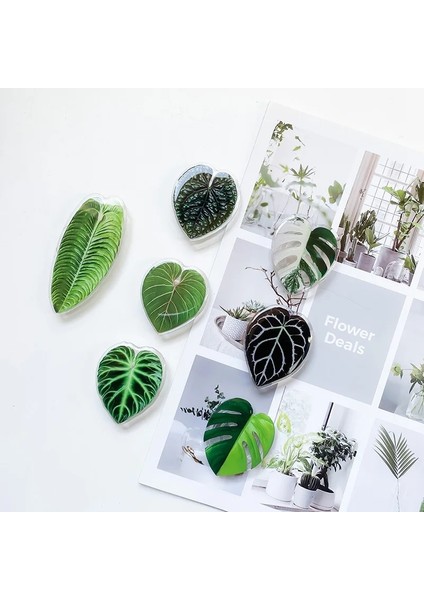 Yeşil Kore Tarzı Telefon Tutucu Kavrama Griptok Hava Kesesi Dama Tahtası Bitki Modelleme Cep Telefonu Parmak Braketi Cep Telefonu Aksesuarları (Yurt Dışından) modelleri